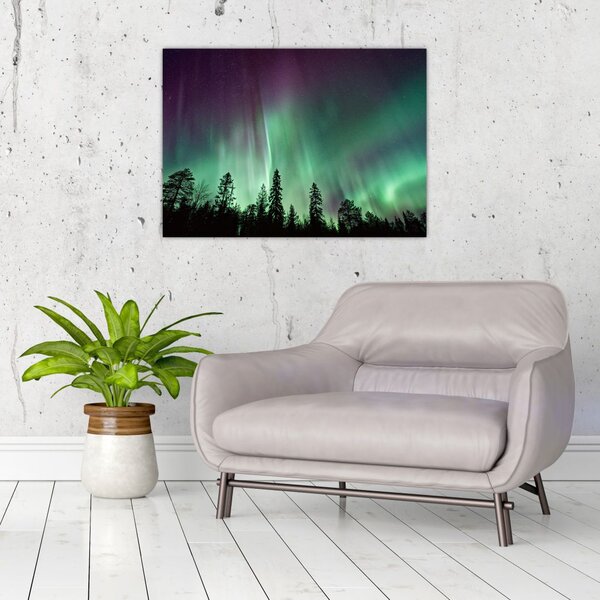 Slika polarne svjetlosti (70x50 cm)