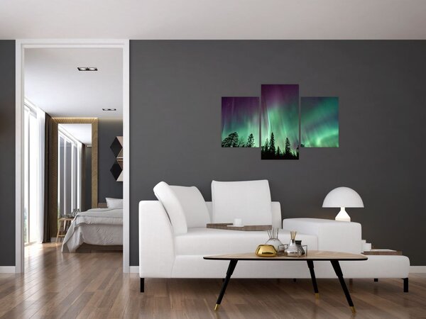 Slika polarne svjetlosti (90x60 cm)