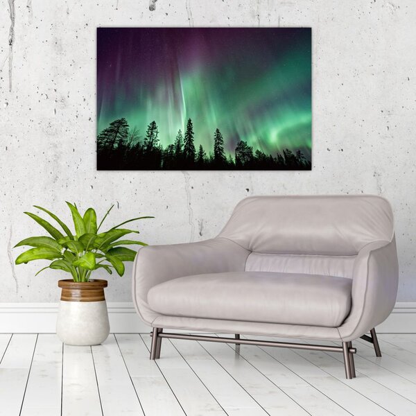 Slika polarne svjetlosti (90x60 cm)