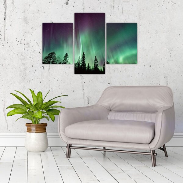 Slika polarne svjetlosti (90x60 cm)