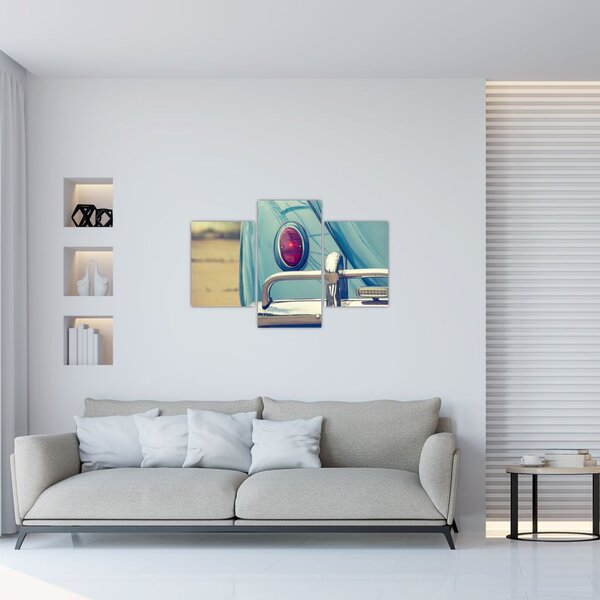Slika tirkiznog veterana (90x60 cm)