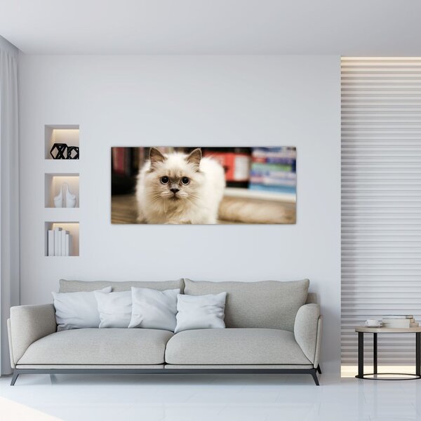 Slika bijele mačke (120x50 cm)