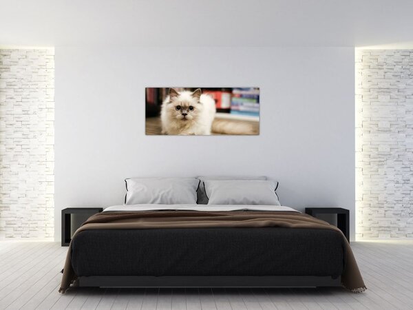 Slika bijele mačke (120x50 cm)