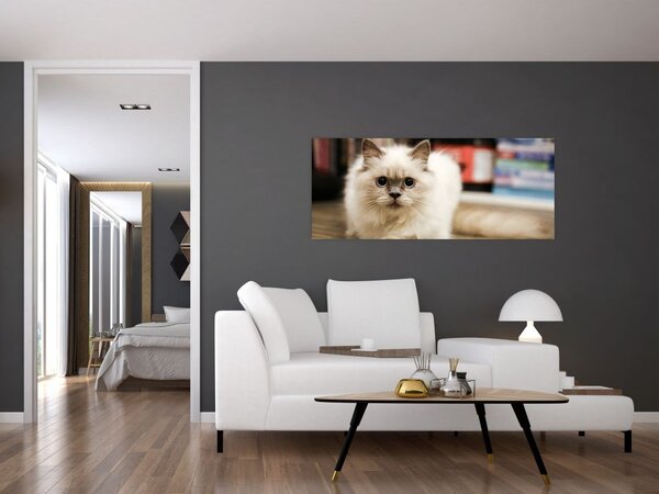 Slika bijele mačke (120x50 cm)