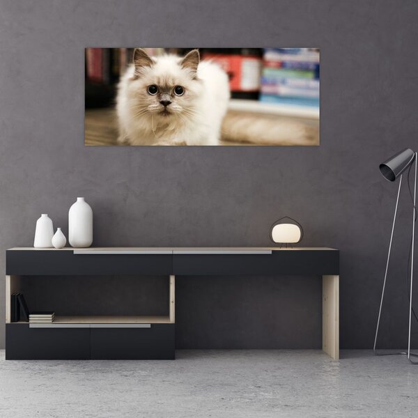 Slika bijele mačke (120x50 cm)