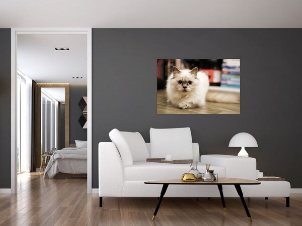 Slika bijele mačke (90x60 cm)
