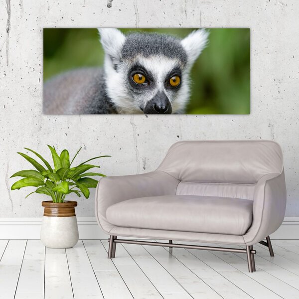 Slika lemura (120x50 cm)