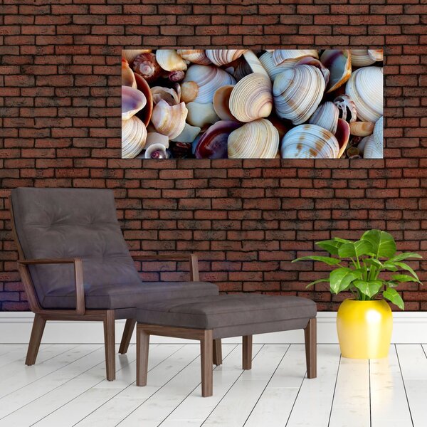 Slika školjki (120x50 cm)