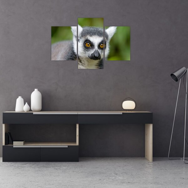 Slika lemura (90x60 cm)
