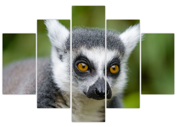 Slika lemura (150x105 cm)