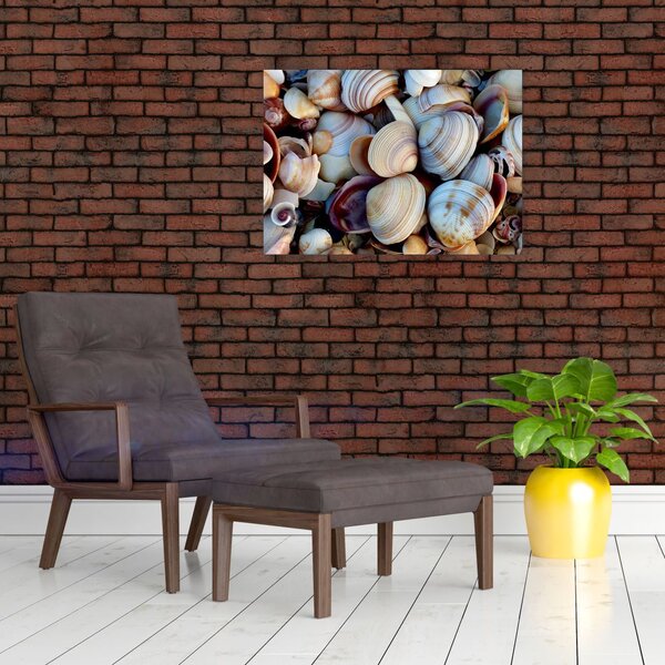 Slika školjki (70x50 cm)