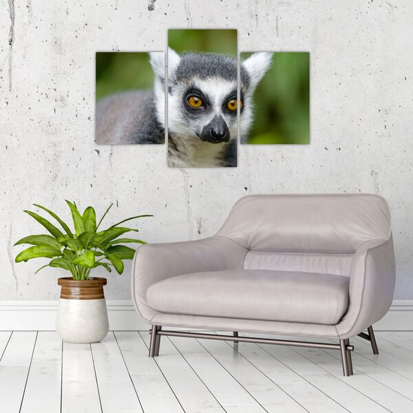 Slika lemura (90x60 cm)