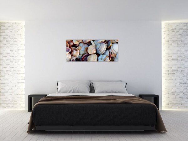 Slika školjki (120x50 cm)