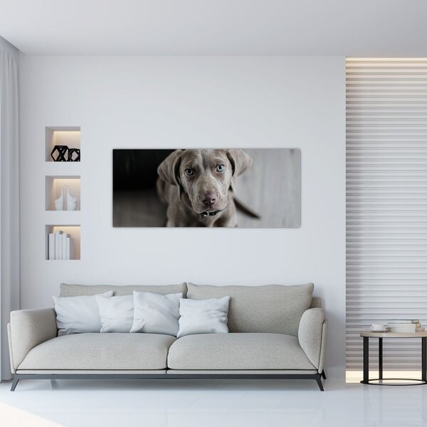 Slika šteneta (120x50 cm)