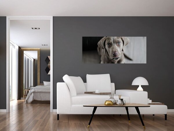 Slika šteneta (120x50 cm)