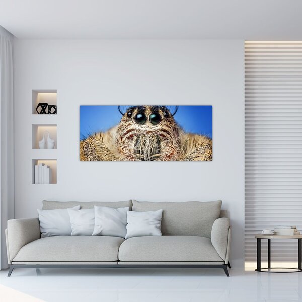Slika detalja pauka (120x50 cm)