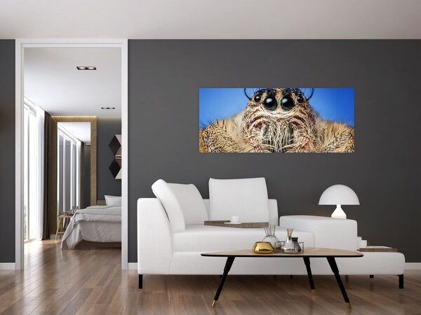 Slika detalja pauka (120x50 cm)