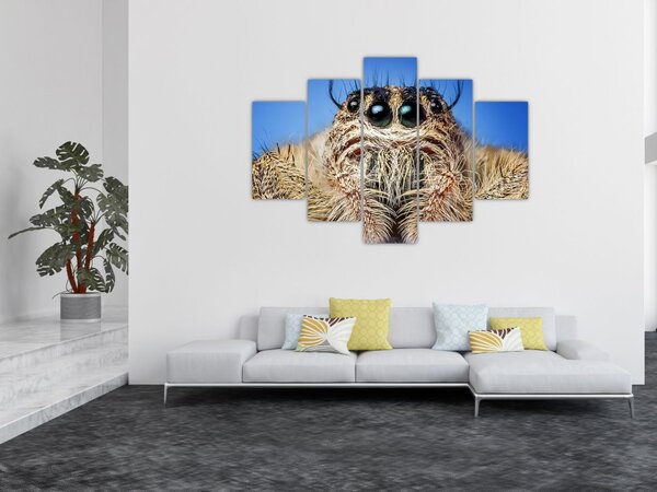 Slika detalja pauka (150x105 cm)