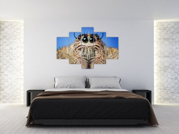 Slika detalja pauka (150x105 cm)