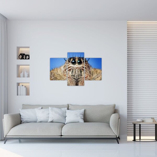 Slika detalja pauka (90x60 cm)