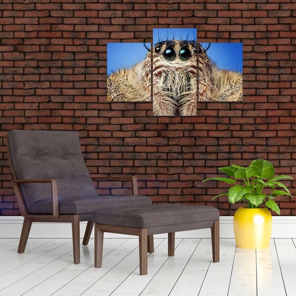 Slika detalja pauka (90x60 cm)