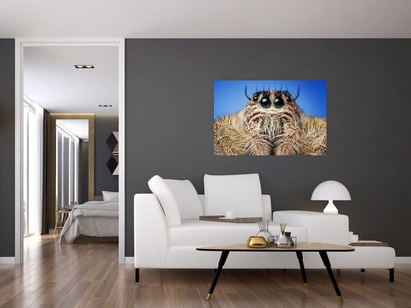 Slika detalja pauka (90x60 cm)