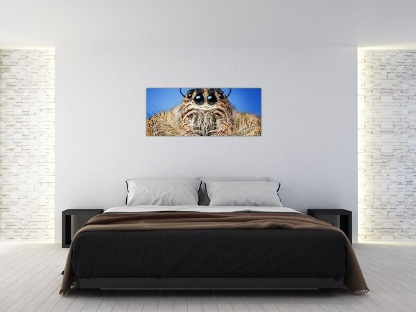 Slika detalja pauka (120x50 cm)