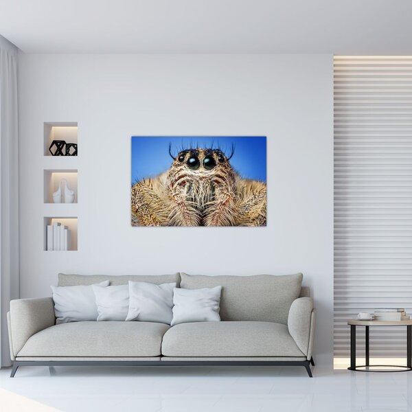 Slika detalja pauka (90x60 cm)