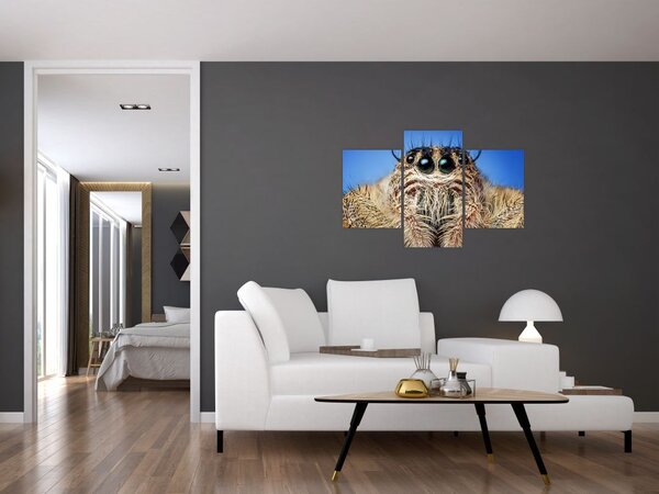 Slika detalja pauka (90x60 cm)