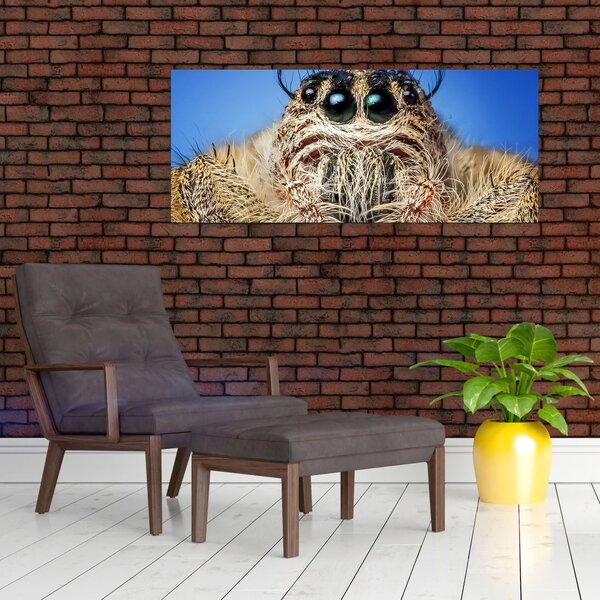Slika detalja pauka (120x50 cm)