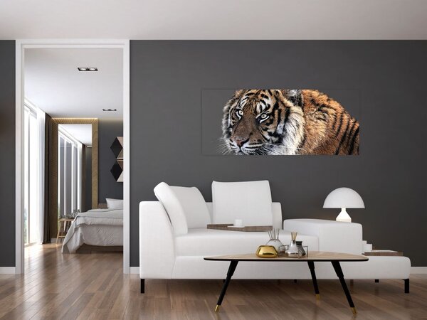 Slika tigra (120x50 cm)