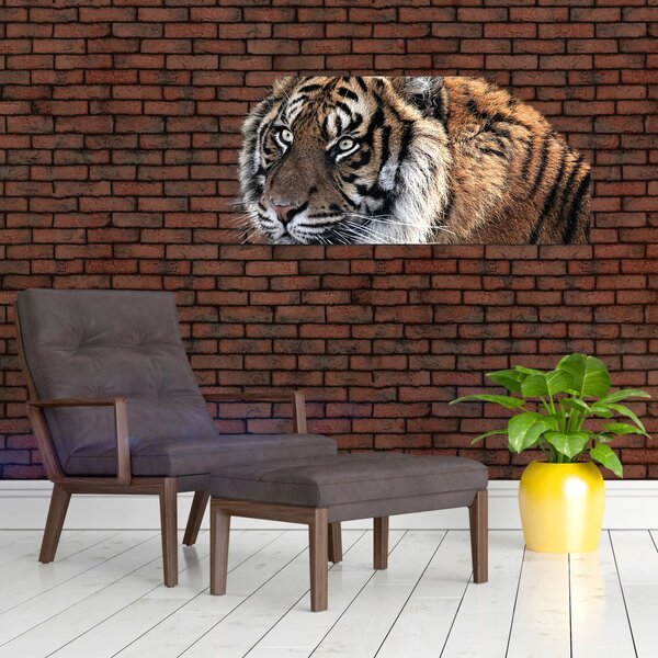 Slika tigra (120x50 cm)