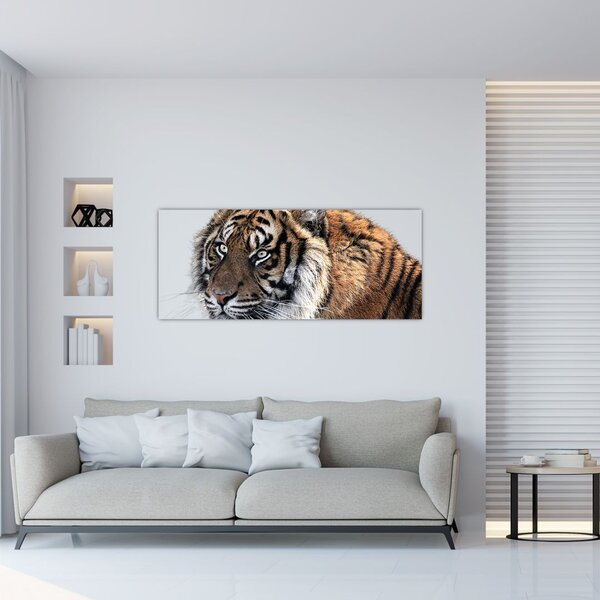 Slika tigra (120x50 cm)