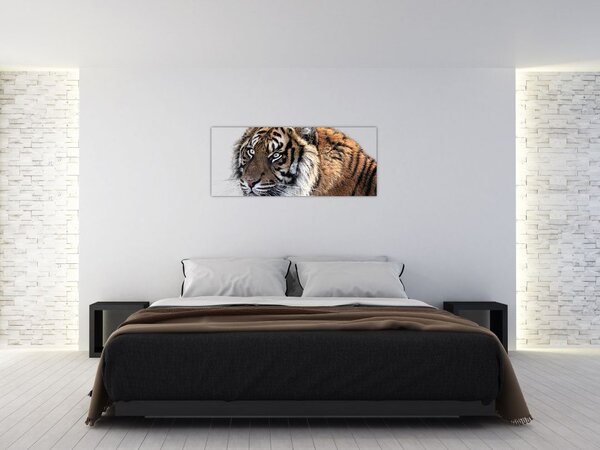 Slika tigra (120x50 cm)