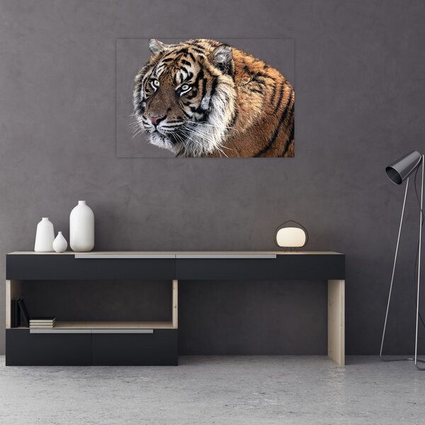 Slika tigra (90x60 cm)