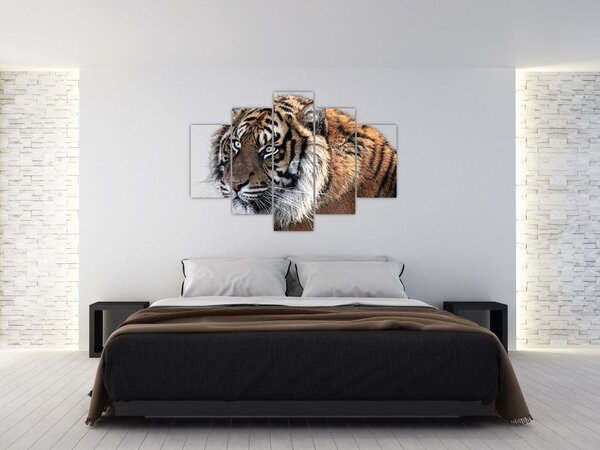 Slika tigra (150x105 cm)