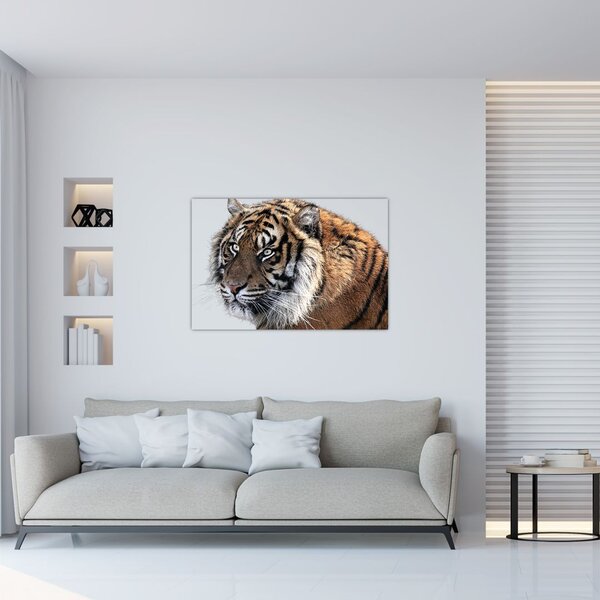 Slika tigra (90x60 cm)