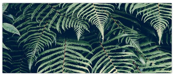 Slika lišća paprati (120x50 cm)