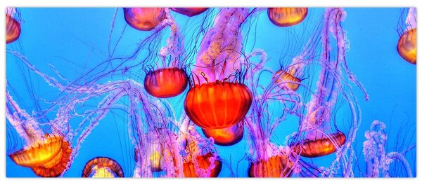 Slika meduza u moru (120x50 cm)
