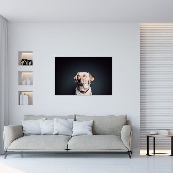 Slika labradora (90x60 cm)