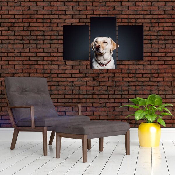 Slika labradora (90x60 cm)