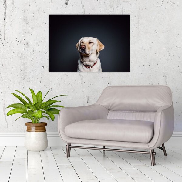Slika labradora (70x50 cm)