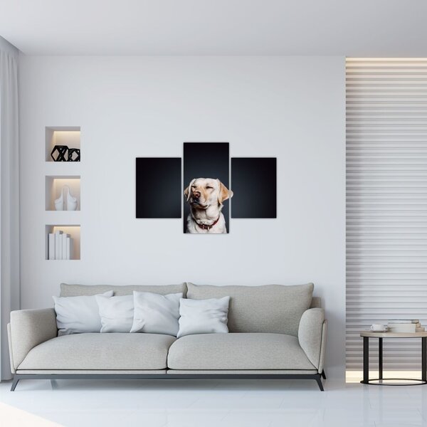 Slika labradora (90x60 cm)