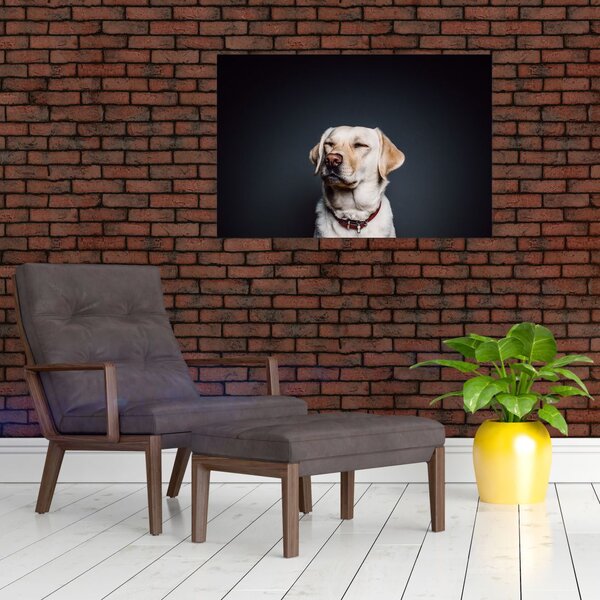 Slika labradora (90x60 cm)