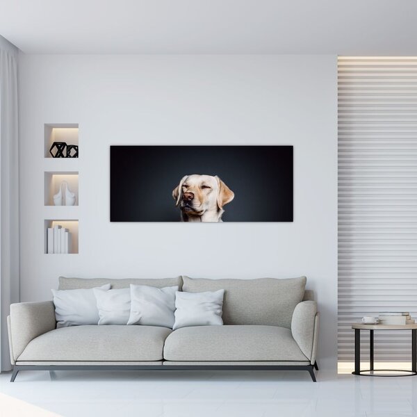 Slika labradora (120x50 cm)