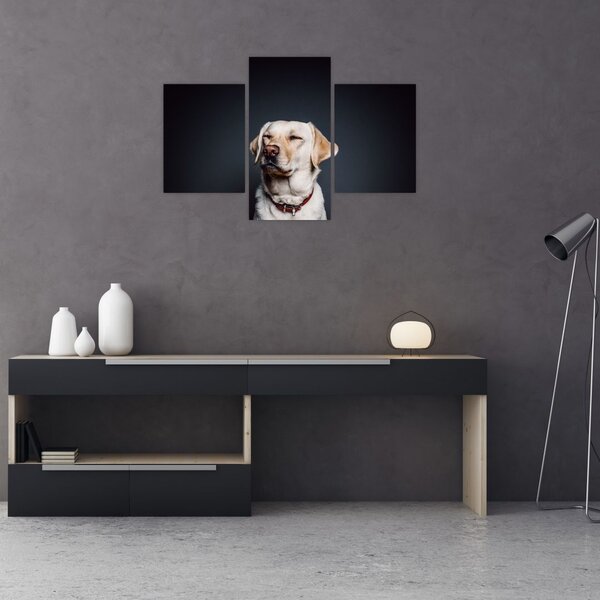 Slika labradora (90x60 cm)
