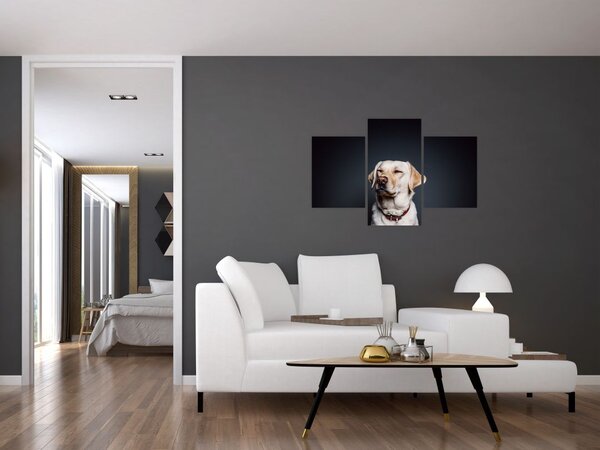 Slika labradora (90x60 cm)