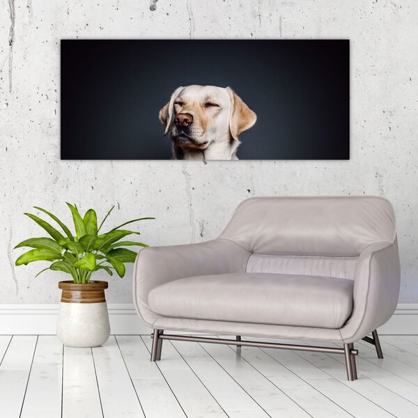 Slika labradora (120x50 cm)