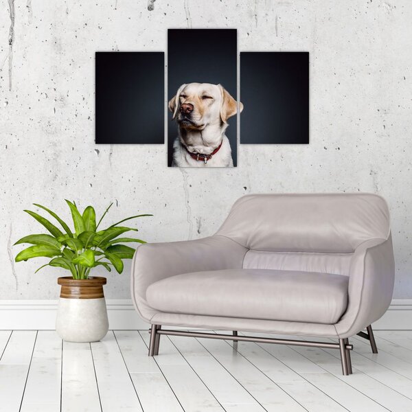 Slika labradora (90x60 cm)