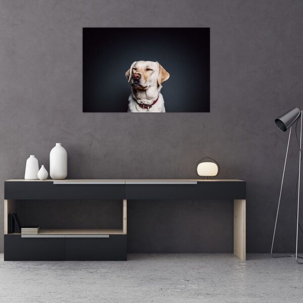 Slika labradora (90x60 cm)